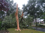 Prio 2 Stormschade Mr Andreaestraat Kollum